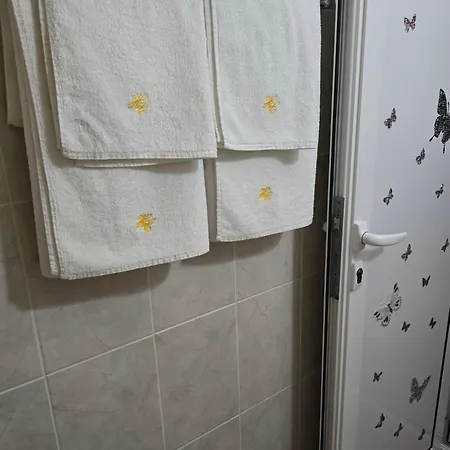 招待所 Stephanovy 2*