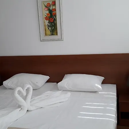 Stephanovy 招待所 索佐波尔