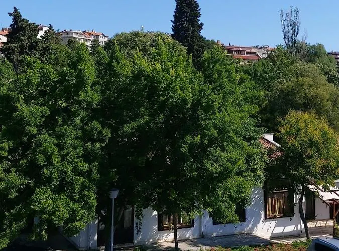 стефанови 2*