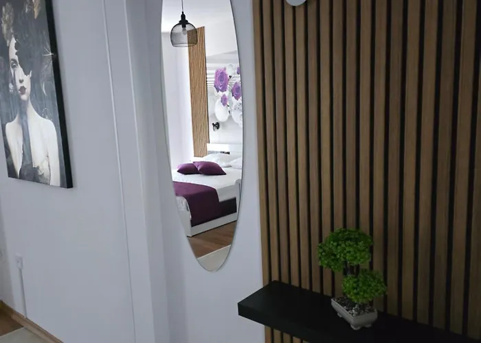 стефанови 2*